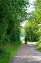 Woman with baby buggy on footpath