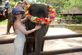 Woman and baby elephant Royalty Free Stock Photo