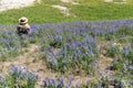 Woman with back facing the camera, wearing straw hat, sits in a field of purple lupine wildflowers in Wyoming