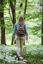 Woman with backpack hiking in woodland in spring Royalty Free Stock Photo
