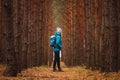 Woman with backpack and knit hat hiking in pine forest Royalty Free Stock Photo
