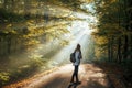 Woman with backpack walks on road in autumn forest with sunbeam shining through trees Royalty Free Stock Photo