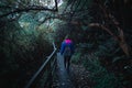 A woman backpacker with blue jacket walking alone on the stairway in the greenery nature. I