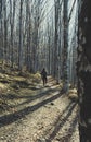 Woman Backpacker hiking in the forest with a stick