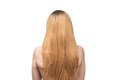 Woman backside, beautiful woman with ombre hair isolated on a white