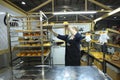 Woman baker placing tray with fresh baked rolls on a trolley, mini bakery production hall. Berezovka, Ukraine