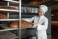 Baker smiling happily pushing rack with fresh baked bread Royalty Free Stock Photo