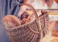 woman in bakery shop with basket of fresh bread and rolls Royalty Free Stock Photo