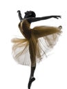 Woman Ballerina Ballet Dancer Dancing Silhouette