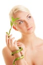 Woman with a bamboo plant Royalty Free Stock Photo