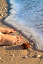 Woman bare feet standing on sandy beach next sea urchin and marine sea shells