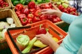 Woman with basket buying peppers at grocery store Royalty Free Stock Photo
