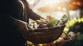 Woman with a basket of organic vegetables, blurred background of a farmers market