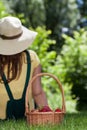 Woman with basket of strawberries Royalty Free Stock Photo