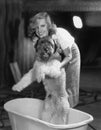 Woman bathing dog in tub Royalty Free Stock Photo