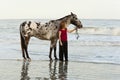 Woman on beach with appaloosa Royalty Free Stock Photo