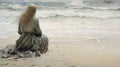 Stormy Waters: A Realistic Fantasy Artwork Of A Woman On The Beach