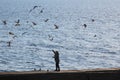Woman on the beach feeding gulls.Seagulls circle the silhouette of a woman