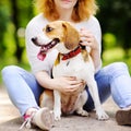 Woman with Beagle dog in the summer park Royalty Free Stock Photo
