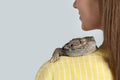 Woman with bearded lizard on background, closeup. Exotic pet