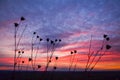 Woman and beautiful calm summer sunset sky, thinking, meditation photo in nature