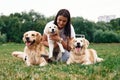 Woman with beautiful dogs are in the field outdoors