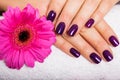 Woman with beautiful manicured purple nails