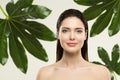 Woman Beauty Face Natural Make up. Green Leaf Cosmetic Skin Care. Wet Hair Perfect Model in Tropical Leaves Nature Background Royalty Free Stock Photo