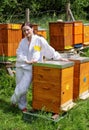 Woman beekeeper with bees Royalty Free Stock Photo