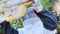 Woman, beekeeper and honey frame at farm for harvest outdoors. Beekeeping industry, startup and female small business