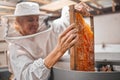 Woman beekeeper, honeycomb and beekeeping, sustainability in nature at bee farm warehouse. Farming, bees and agriculture