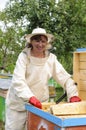 Woman beekeeper looks after bees Royalty Free Stock Photo