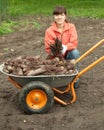 Woman with beetroot harvest Royalty Free Stock Photo