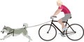 Woman on a bicycle with a dog.