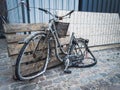 Woman bicycle recovered bicycle from water Copenhagen city summer time