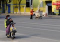 Woman on a bike looking her phone