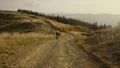 Woman on bike riding down mountain road. Couple of bicyclists training together Royalty Free Stock Photo