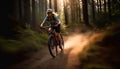 woman activity sport walking cycling sunset dark summer bike bicycle forest. Generative AI.