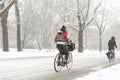 Woman biking in a snowy Amsterdam Vondelpark. Royalty Free Stock Photo