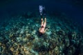 Woman in bikini dive to corals underwater in tropical sea Royalty Free Stock Photo