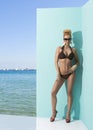 Woman in bikini with sunglasses and hand on the hip Royalty Free Stock Photo