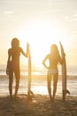 Woman Bikini Surfer Girls & Surfboards Sunset Beach Royalty Free Stock Photo