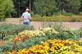 Woman biologist exploring plants