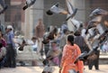 Woman and birds at Jama Masjid, Delhi Royalty Free Stock Photo