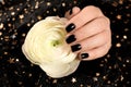 Woman with black manicure holding beautiful flower on dark background. Nail polish trends