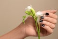 Woman with black manicure holding flower on color background. Nail polish trends