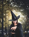 woman in Black Scary witch halloween costume holding black spider with moonlight in a dark forest Royalty Free Stock Photo