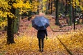 Woman in black with umbrella walking in cemetery at autumn rain. Royalty Free Stock Photo