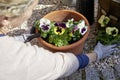 Woman with blond hair planting flowers violas in her sunny backyard into a plant pot kneeling next to pebbles closeup from behind Royalty Free Stock Photo
