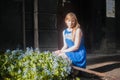 Woman blonde in blue dress walking along a city street against a background of urban architecture and summer Siberian beauties Royalty Free Stock Photo